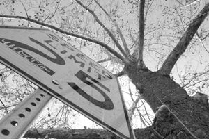 Speed Limit Sign