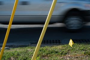 Wire stays in front of a car