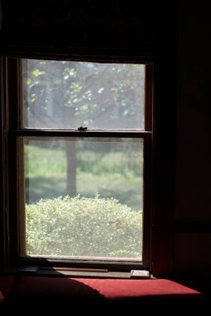 Looking out a window